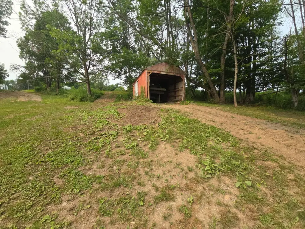 Picture 12