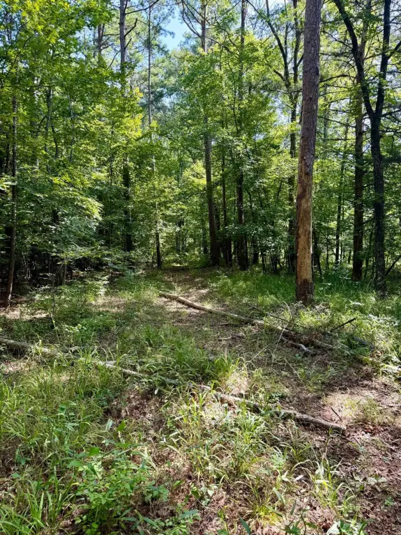 Picture 26