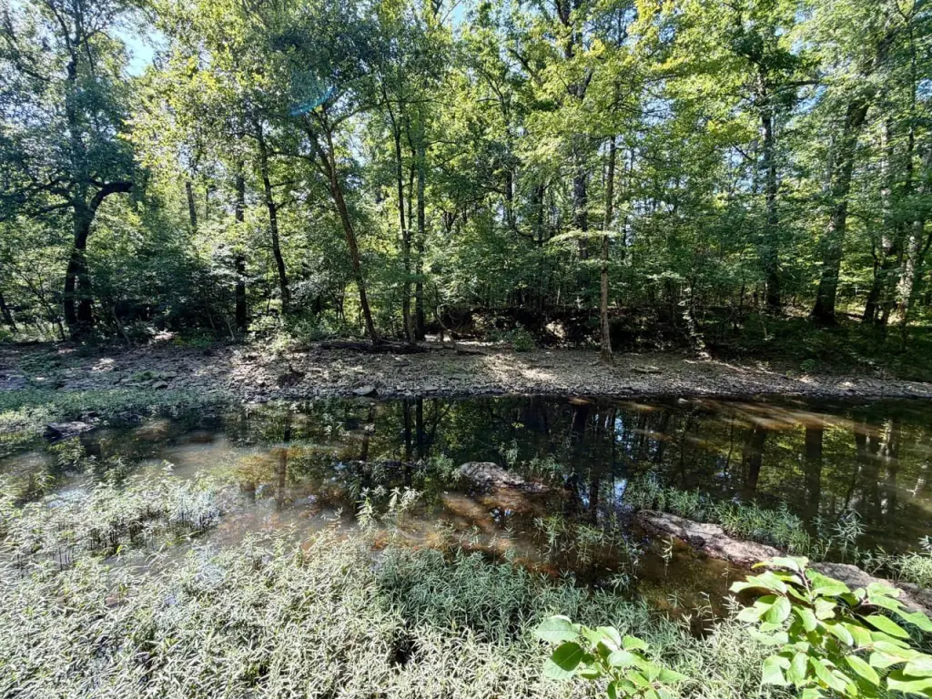 Picture 11