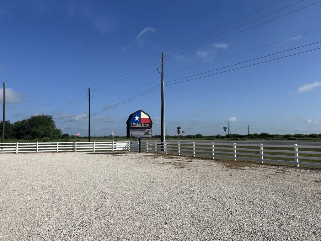 Picture 21