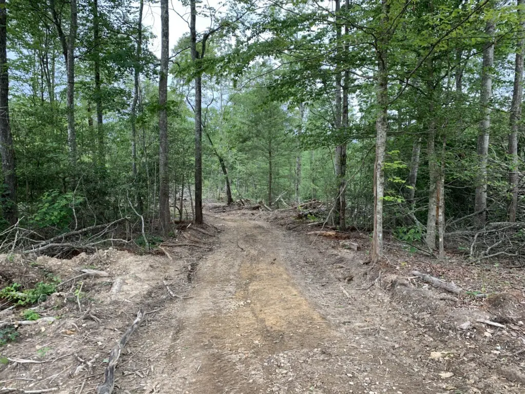 Picture 16