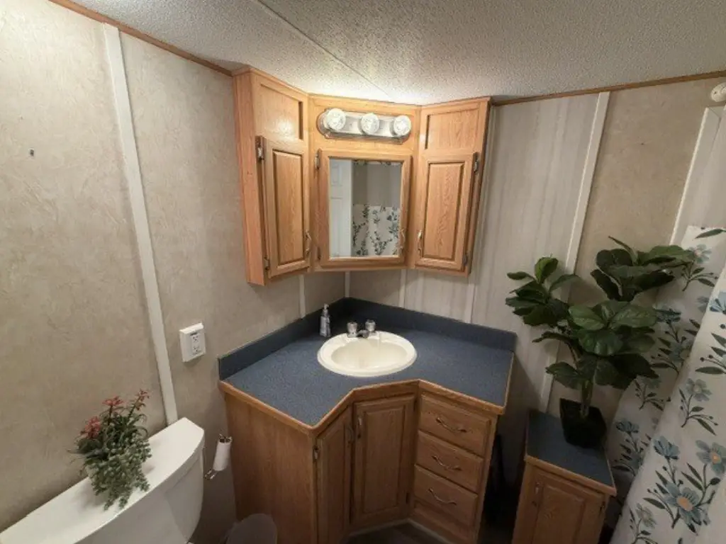 Picture 38