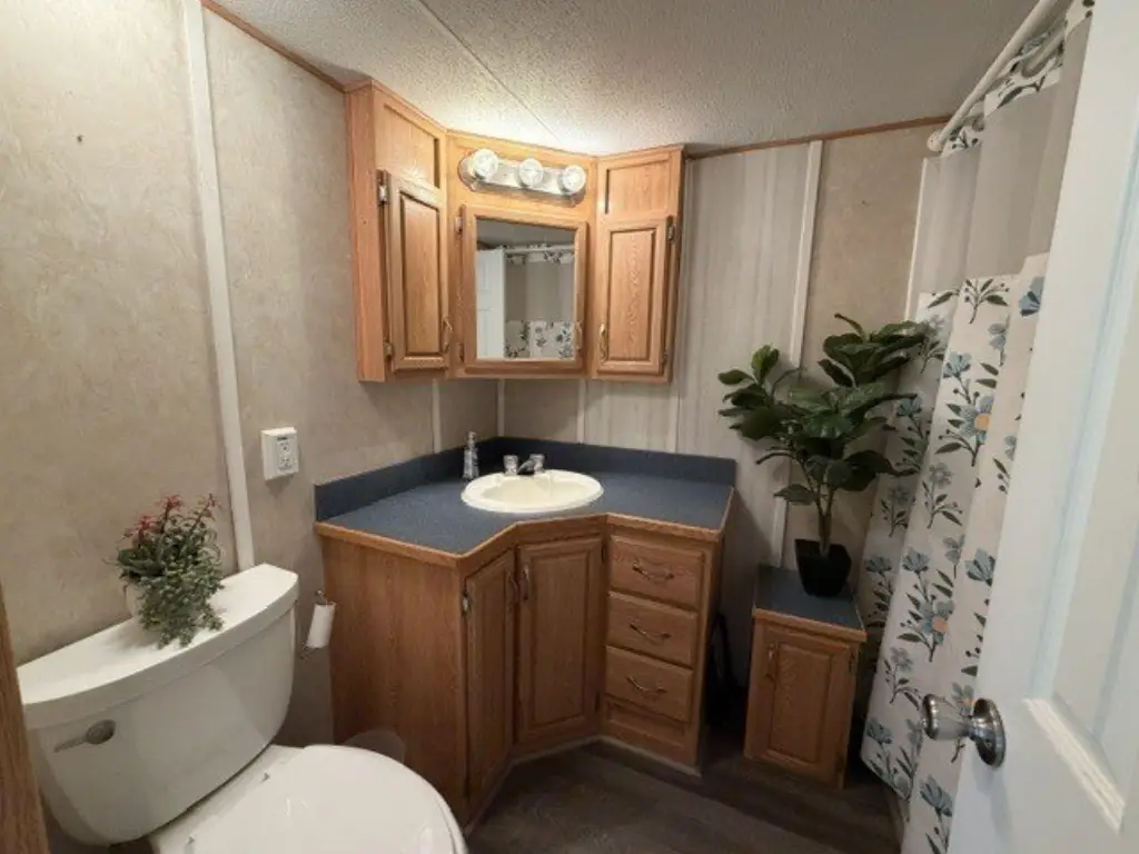 Picture 37