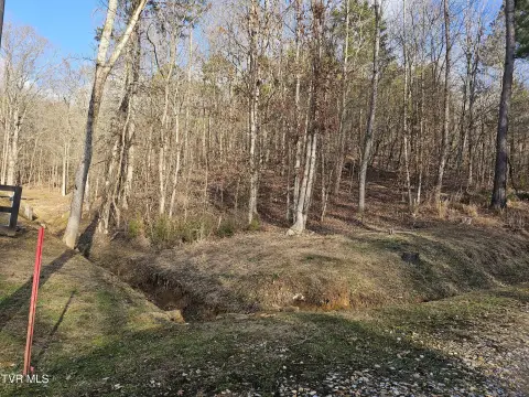 Unrestricted Acreage Near Douglas Lake