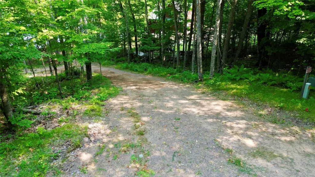 Picture 20