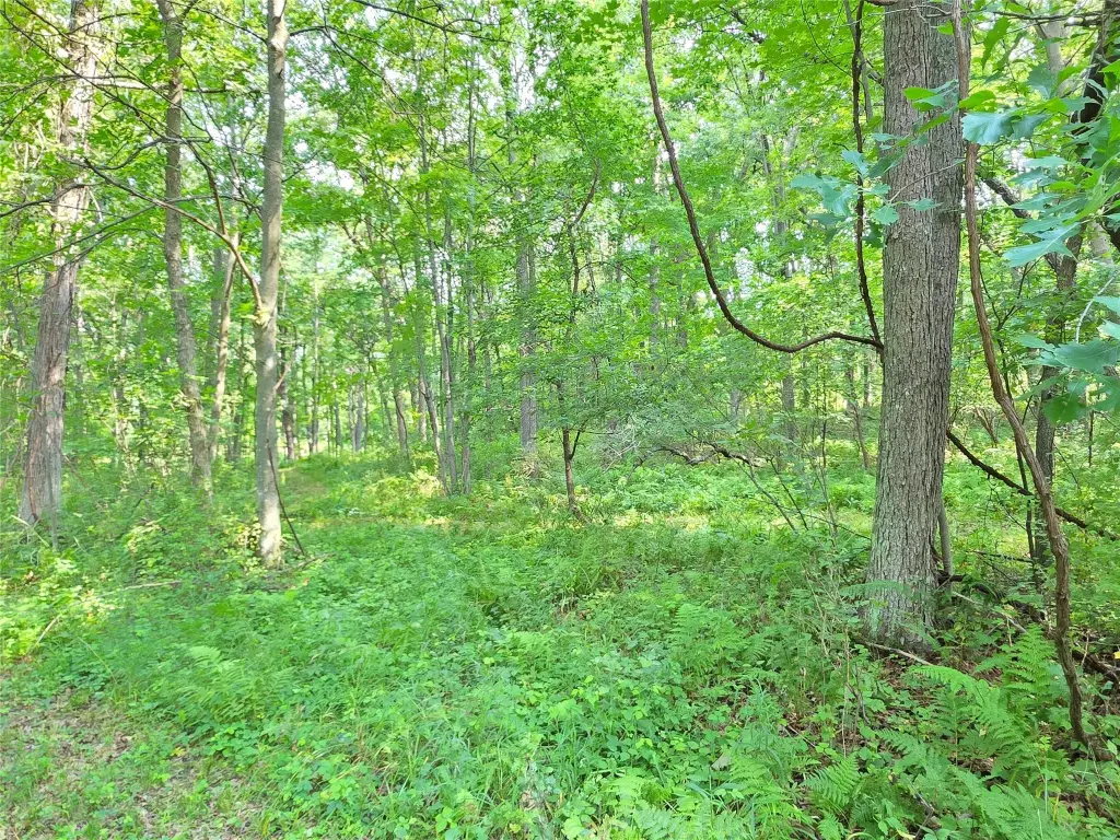 Picture 19