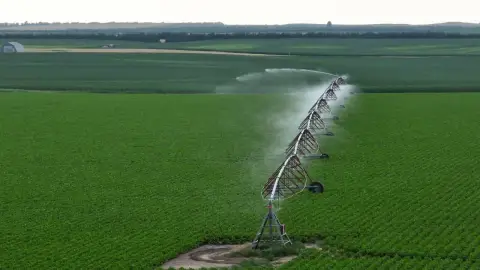 Irrigated Farmland Near Hemingford, Nebraska