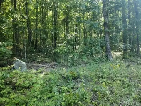 10 Acres Wooded Land, Clinton