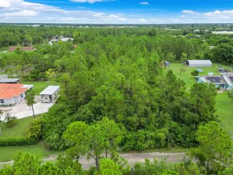 Homestead Land Opportunity