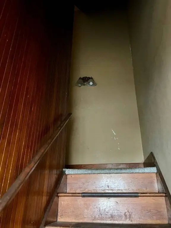 Picture 19