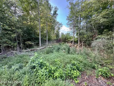 Land in Wildwood Estates