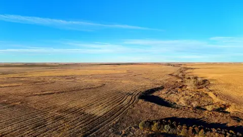 320 Acres of Prime Cropland