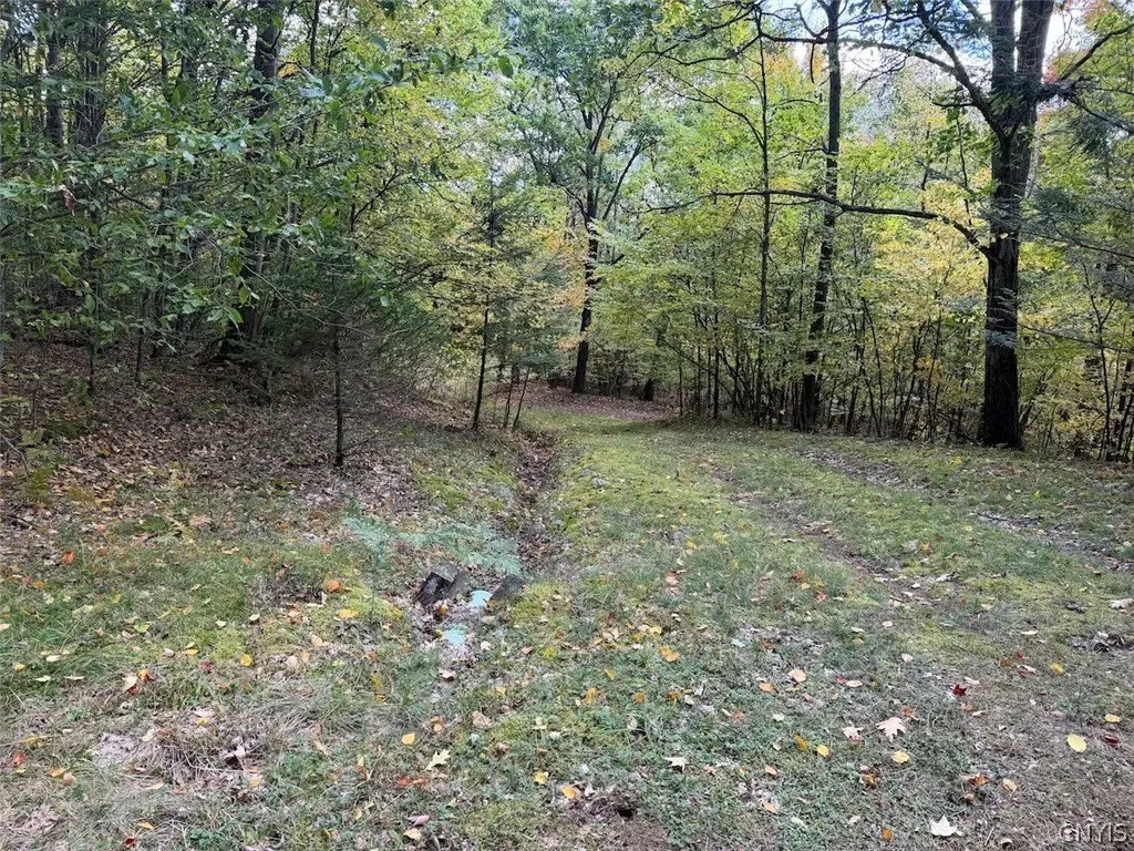 Picture 25