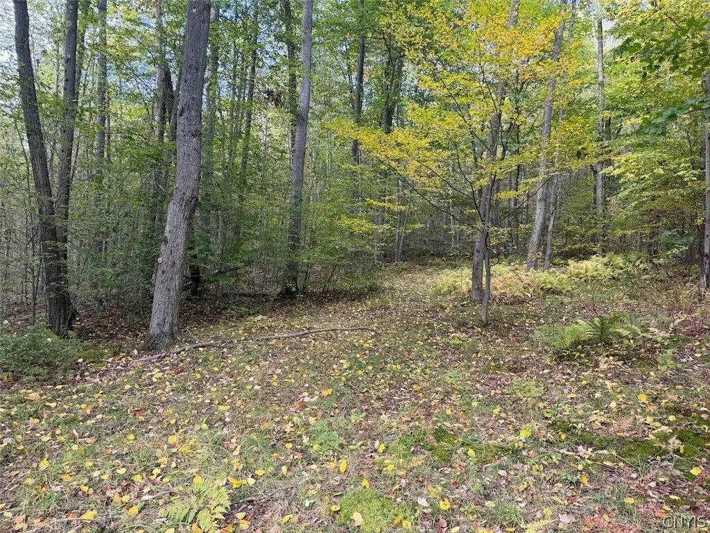 Picture 19
