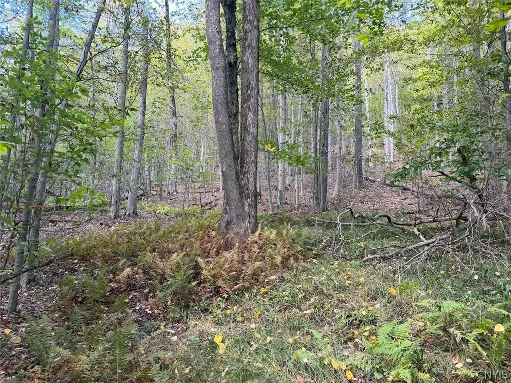 Picture 18