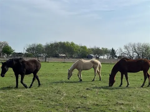 Pasture Land For Sale