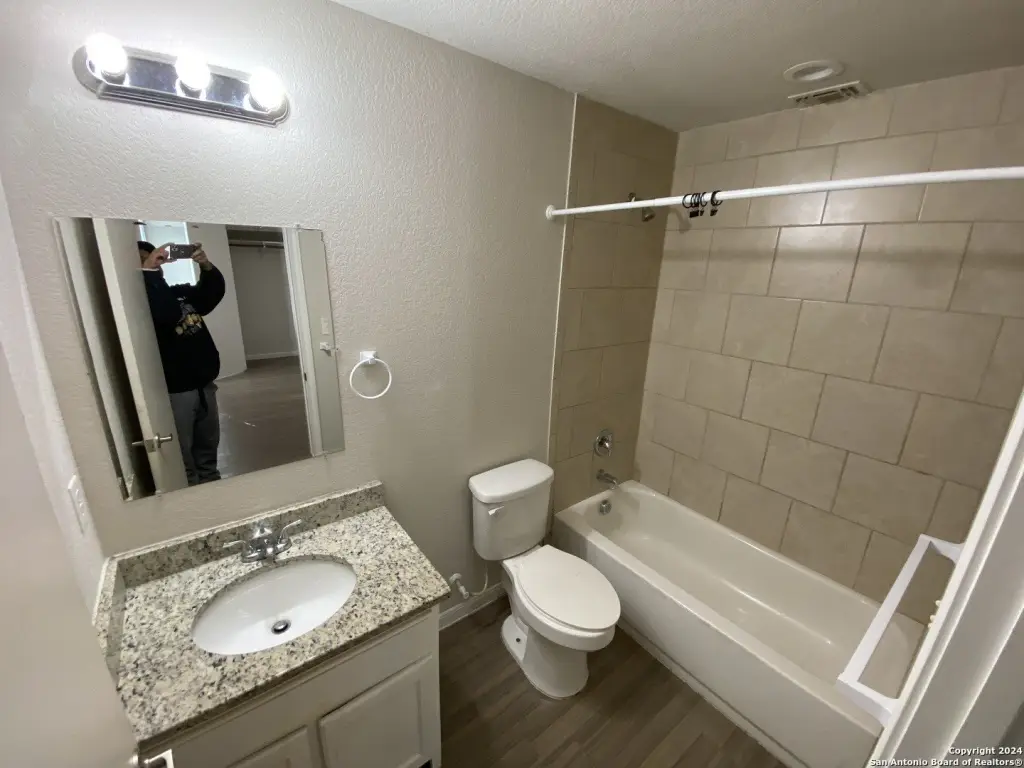 Picture 17