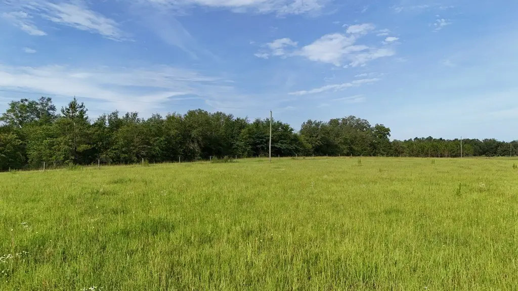 Picture 25