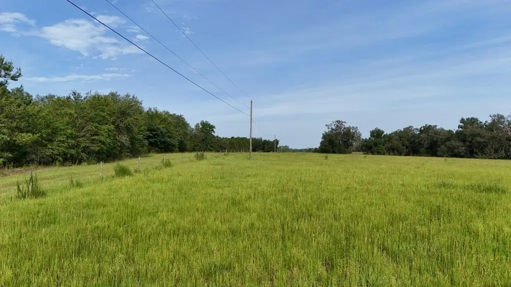 Picture 21