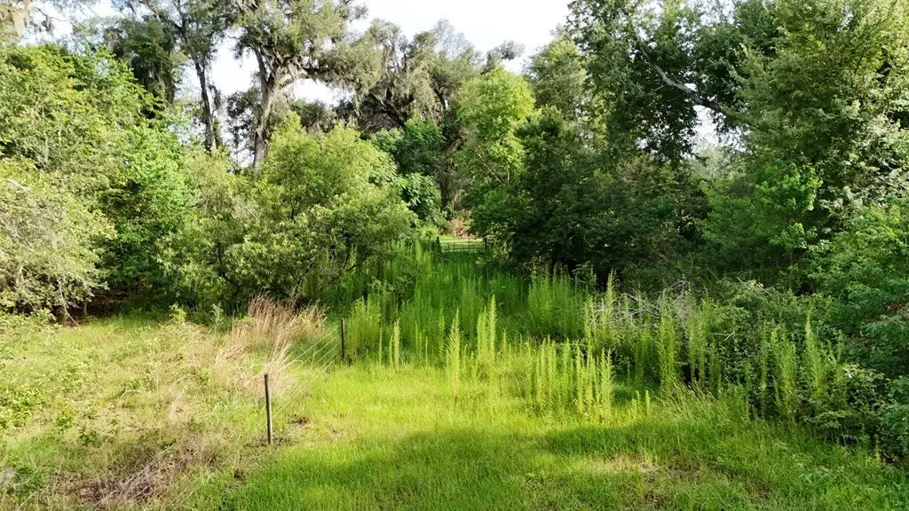 Picture 41