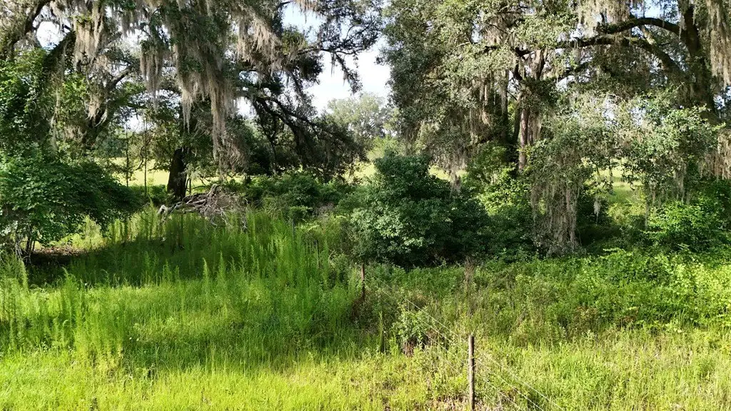 Picture 47