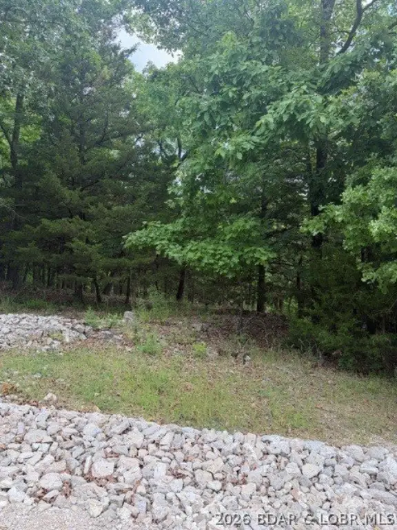 Picture 3
