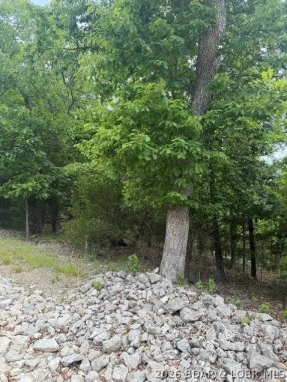 Picture 5