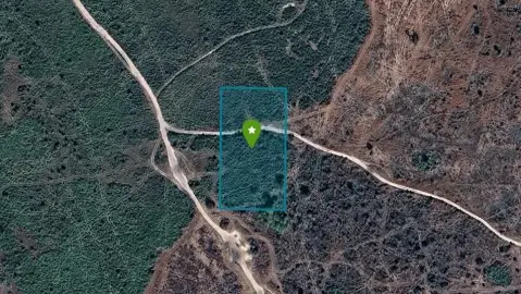 Okeechobee Recreational/Agricultural Land Parcel