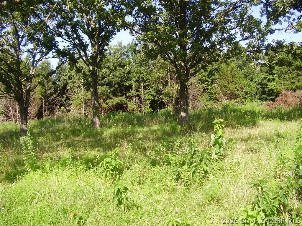 Picture 11