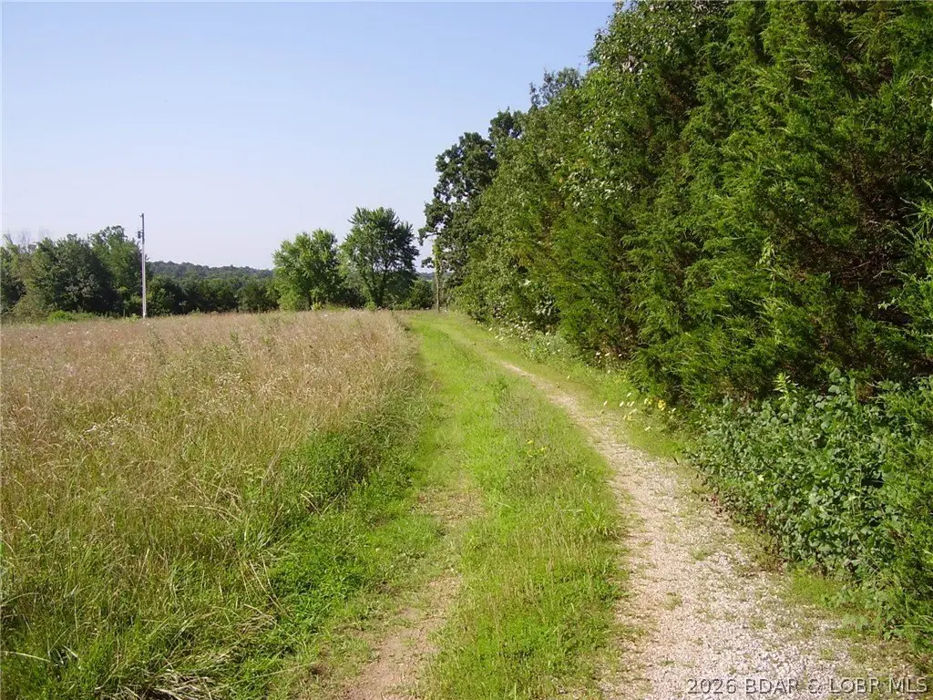 Picture 16