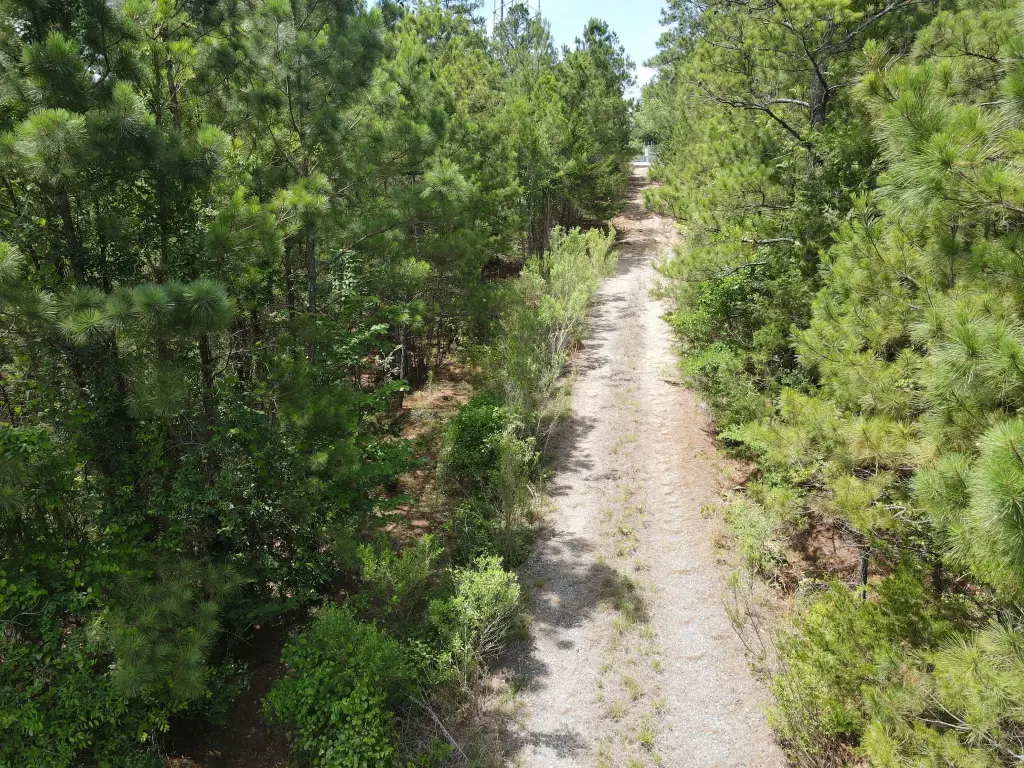 Picture 4