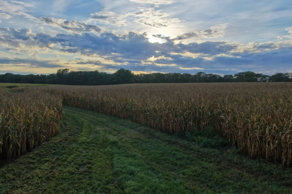 Picture 48