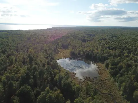 Wooded Recreational Land