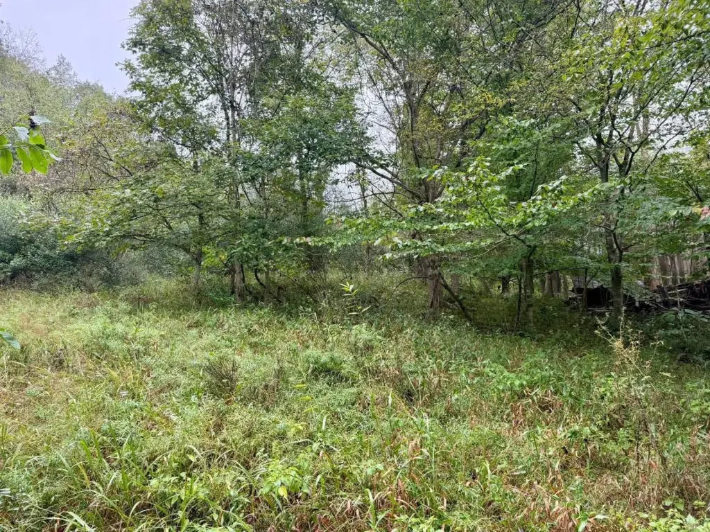 Picture 6