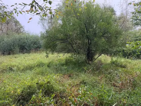 Remote Hunting Land