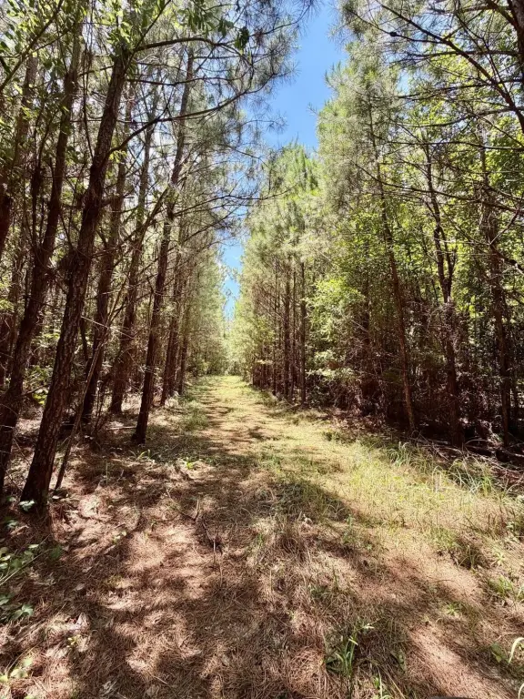 Picture 24