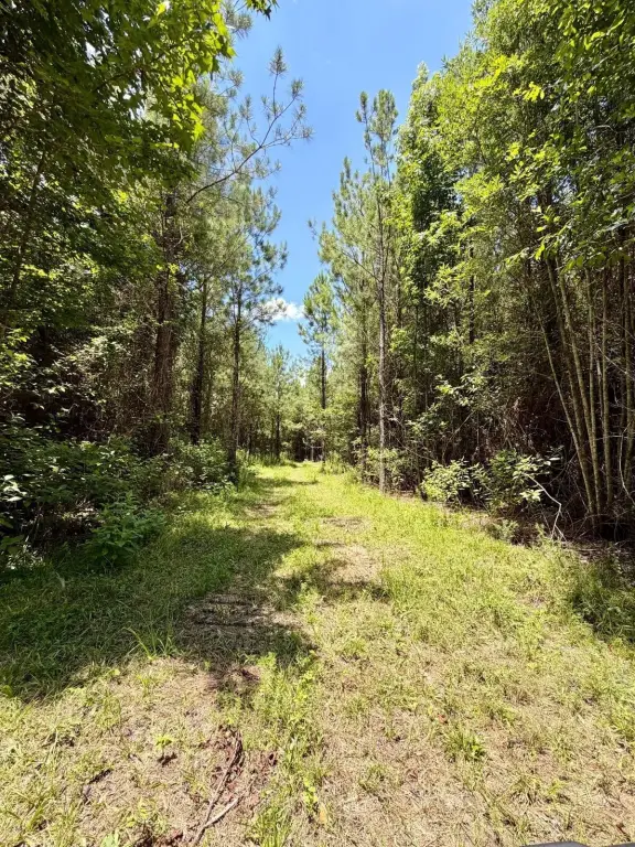 Picture 21