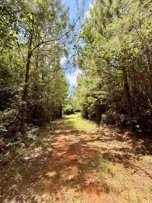 Picture 25