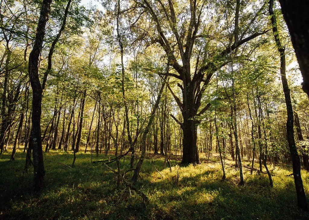 Picture 27