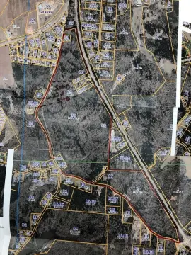 Wooded Land in Oxford, MS