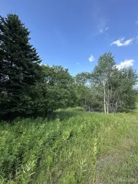 Residential Land in Iron River