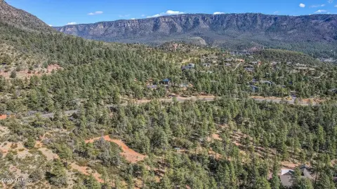 Residential Land in Pine, Arizona