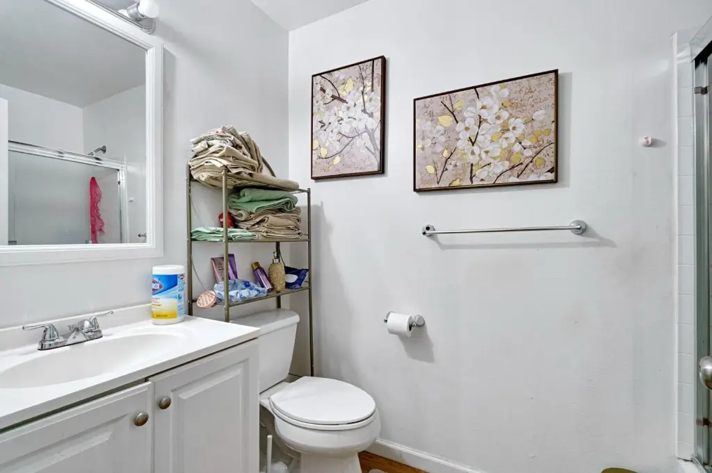 Picture 23