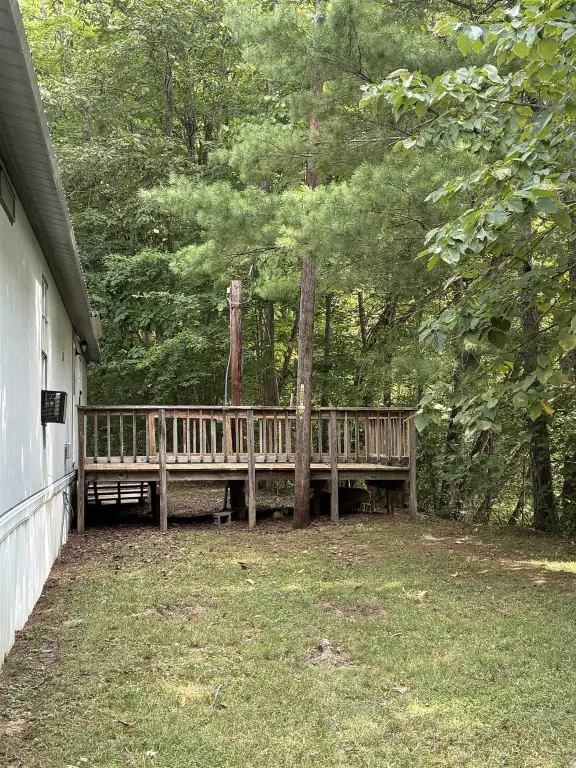 Picture 4