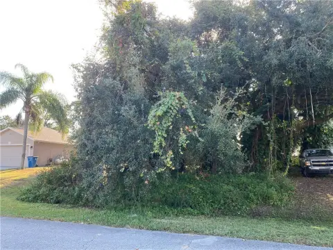 Palm Bay Land For Sale