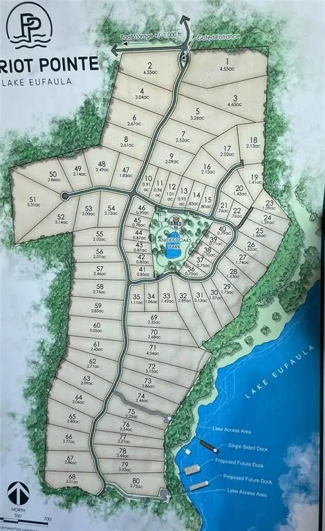 Picture 14
