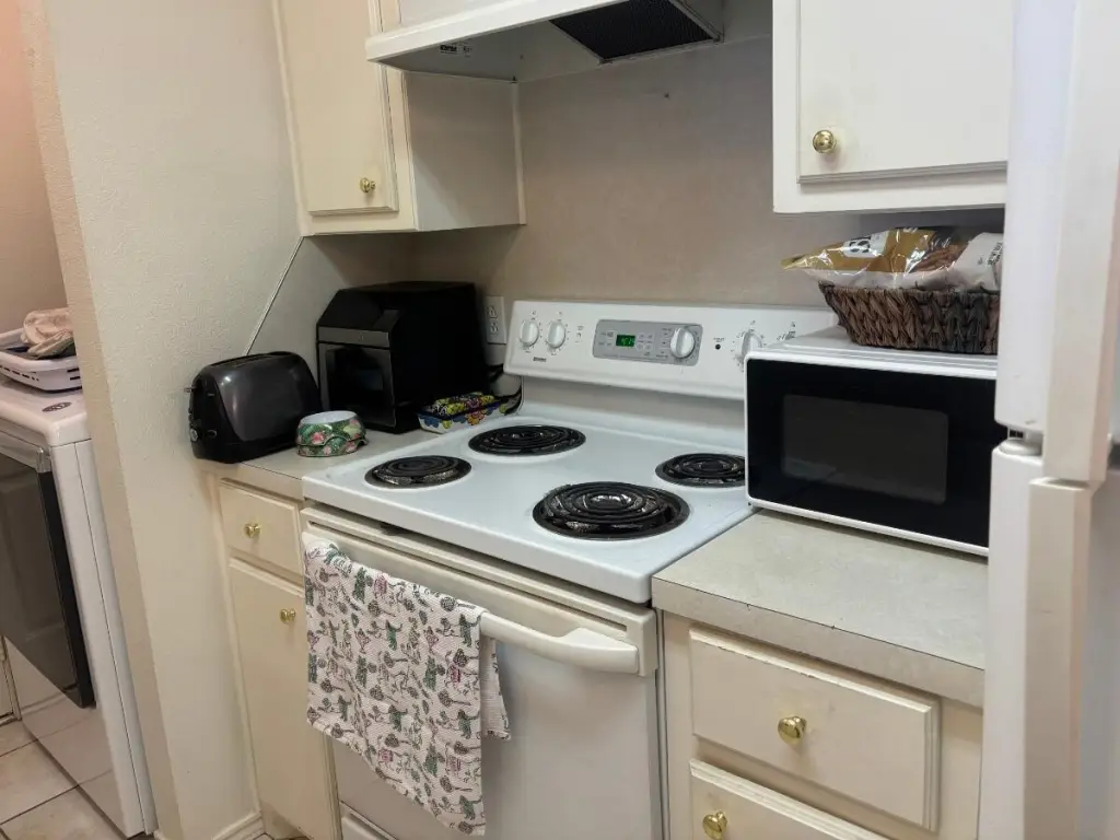 Picture 5