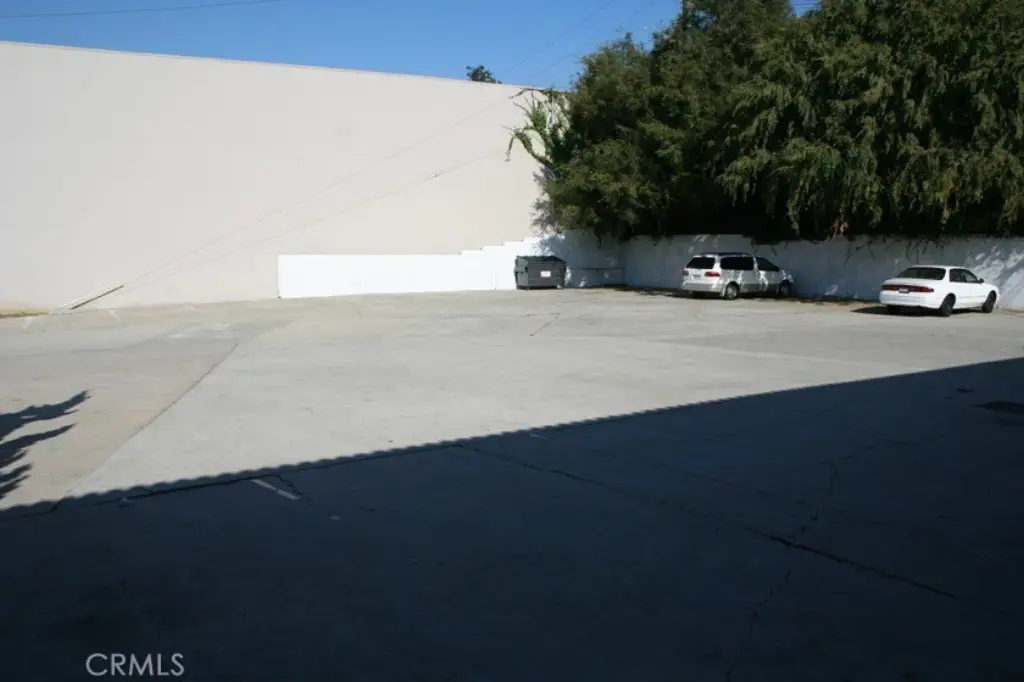 Picture 8