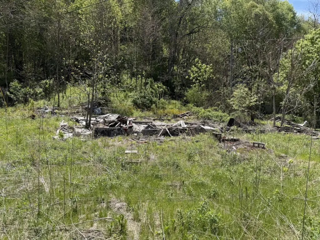 Picture 2