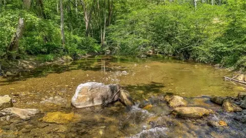 Land with Reddies River Frontage